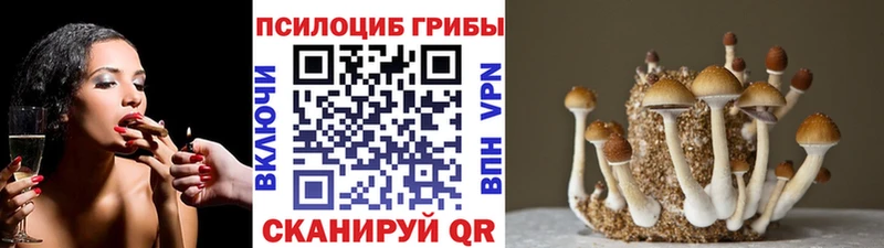 купить наркоту  Гремячинск  Галлюциногенные грибы прущие грибы 